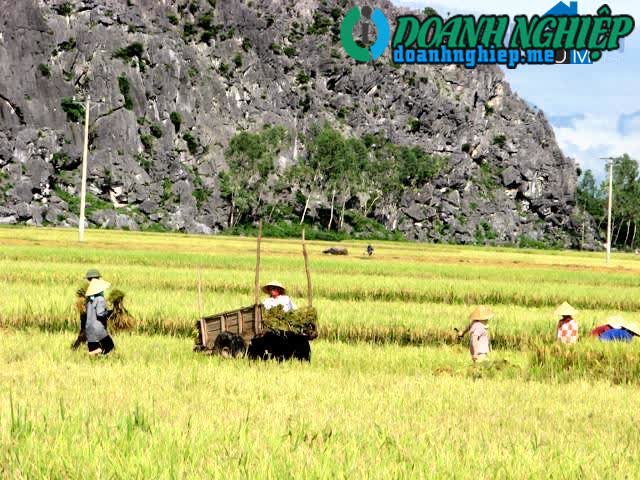 Image of List companies in Quy Loc Commune- Yen Dinh District- Thanh Hoa