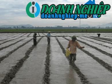 Image of List companies in Yen Phu Commune- Yen Dinh District- Thanh Hoa