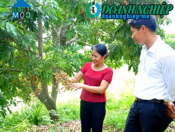 Ảnh về Doanh nghiệp tại Xã Thái Bình- Huyện Yên Sơn- Tuyên Quang