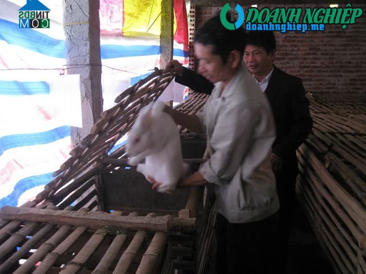 Image of List companies in Van Quan Commune- Lap Thach District- Vinh Phuc