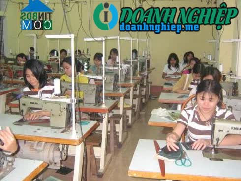 Image of List companies in Hoang Hoa Commune- Tam Duong District- Vinh Phuc