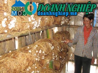 Ảnh về Doanh nghiệp tại Xã Phú Lương- Huyện Phú Vang- Thừa Thiên Huế