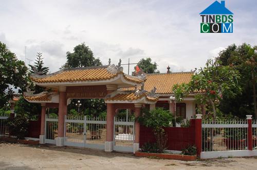 Image of List companies in Tan Thanh Commune- Cai Be District- Tien Giang