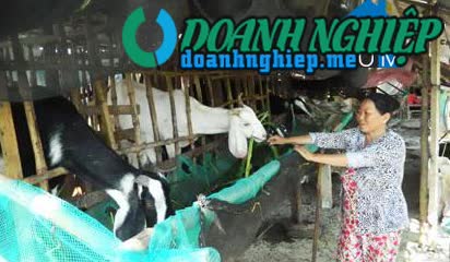 Image of List companies in Binh Nghi Commune- Go Cong Dong District- Tien Giang