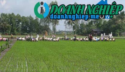 Image of List companies in Dong Son Commune- Go Cong Tay District- Tien Giang