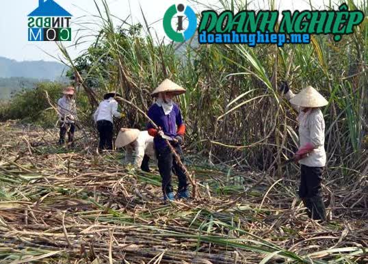 Image of List companies in Binh Nhan Commune- Chiem Hoa District- Tuyen Quang