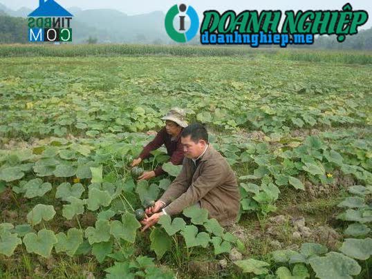 Ảnh về Doanh nghiệp tại Xã Thái Sơn- Huyện Hàm Yên- Tuyên Quang