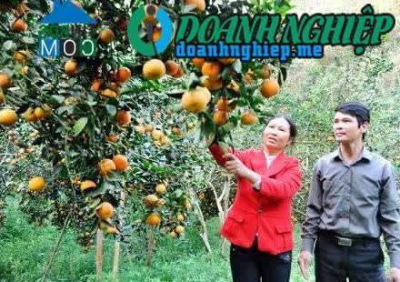 Image of List companies in Yen Lam Commune- Ham Yen District- Tuyen Quang