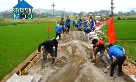 Image of List companies in Binh Xa Commune- Ham Yen District- Tuyen Quang