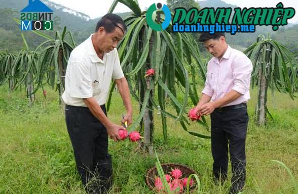 Image of List companies in Nhan Muc Commune- Ham Yen District- Tuyen Quang