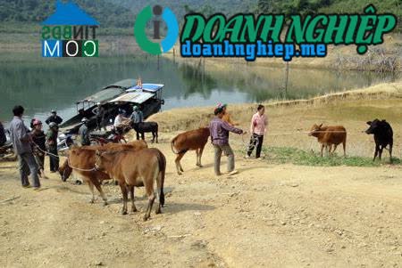 Image of List companies in Con Lon Commune- Na Hang District- Tuyen Quang