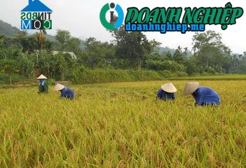 Image of List companies in Vinh Lac Commune- Luc Yen District- Yen Bai