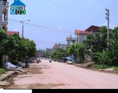 Image of List companies in Yen The Town- Luc Yen District- Yen Bai
