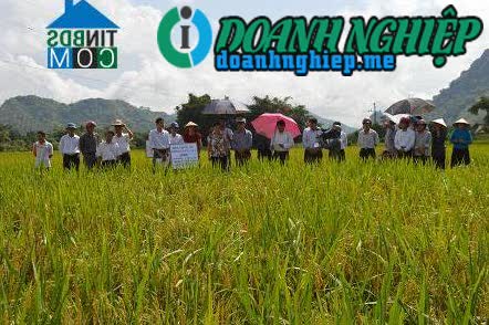 Image of List companies in Lieu Do Commune- Luc Yen District- Yen Bai