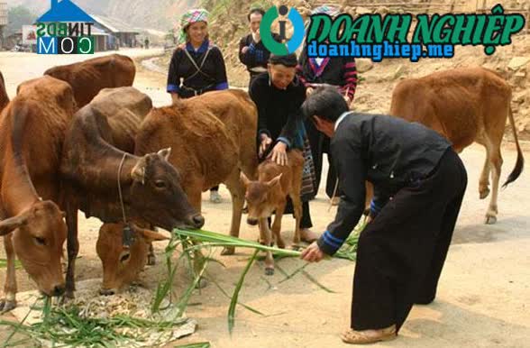 Image of List companies in Ho Bon Commune- Mu Cang Chai District- Yen Bai