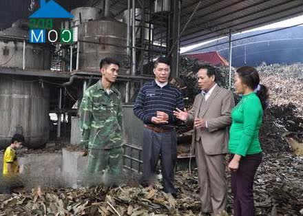 Image of List companies in Dao Thinh Commune- Tran Yen District- Yen Bai