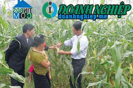 Image of List companies in Hanh Son Commune- Van Chan District- Yen Bai