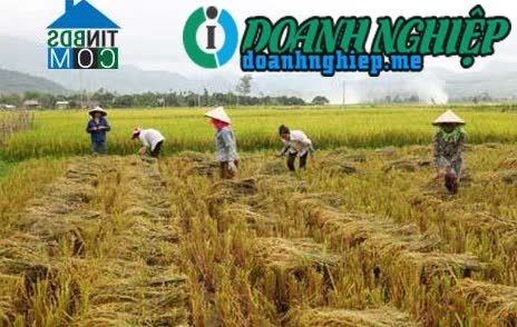 Image of List companies in Son A Commune- Van Chan District- Yen Bai