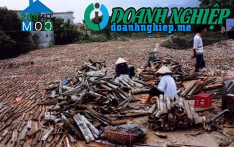 Image of List companies in Son Luong Commune- Van Chan District- Yen Bai