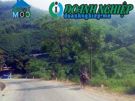 Image of List companies in Lam Giang Commune- Van Yen District- Yen Bai