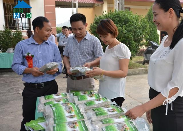 Image of List companies in Gioi Phien Commune- Yen Bai City- Yen Bai
