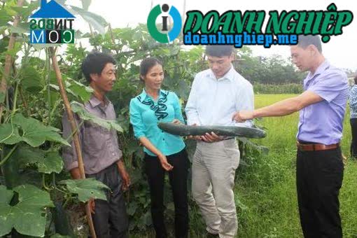 Image of List companies in Phuc Loc Commune- Yen Bai City- Yen Bai