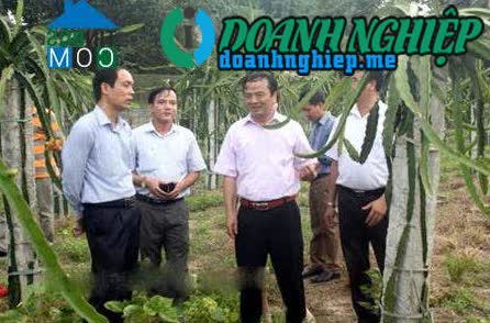 Image of List companies in Bach Ha Commune- Yen Binh District- Yen Bai