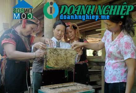 Ảnh về Doanh nghiệp tại Xã Cảm Ân- Huyện Yên Bình- Yên Bái