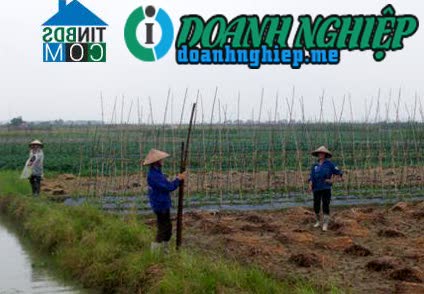 Image of List companies in An Hoa Commune- An Duong District- Hai Phong