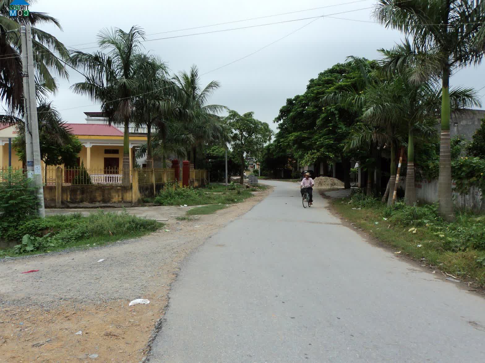 Image of List companies in Thuy Huong Commune- Kien Thuy District- Hai Phong
