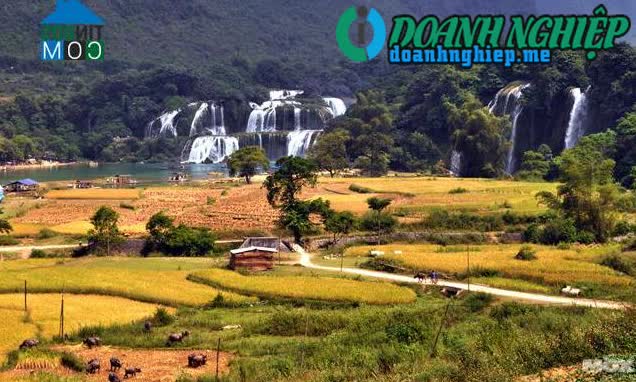 Image of List companies in Thach An District- Cao Bang