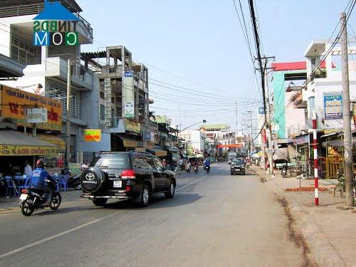Image of List companies in Cai Dau Town- Chau Phu District- An Giang