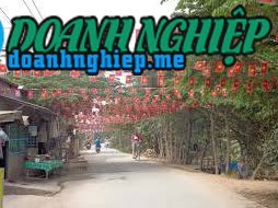 Image of List companies in Nhon My Commune- Cho Moi District- An Giang