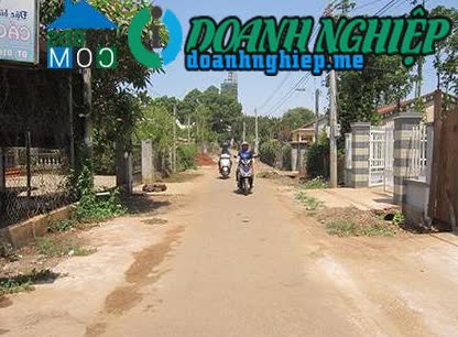 Image of List companies in Binh Gia Commune- Chau Duc District- Ba Ria Vung Tau