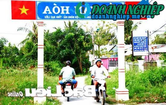 Image of List companies in Dinh Thanh A Commune- Dong Hai District- Bac Lieu