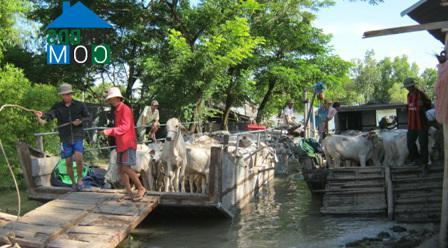 Image of List companies in An Phu Commune- Tinh Bien District- An Giang