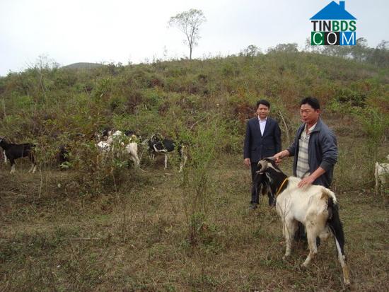 Ảnh về Doanh nghiệp tại Xã Biên Sơn- Huyện Lục Ngạn- Bắc Giang