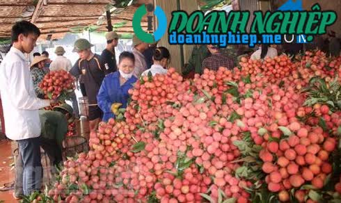 Ảnh về Doanh nghiệp tại Xã Phượng Sơn- Huyện Lục Ngạn- Bắc Giang
