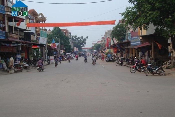 Image of List companies in Nha Nam Town- Tan Yen District- Bac Giang