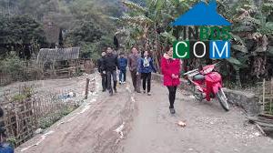 Image of List companies in Cao Tri Commune- Ba Be District- Bac Kan