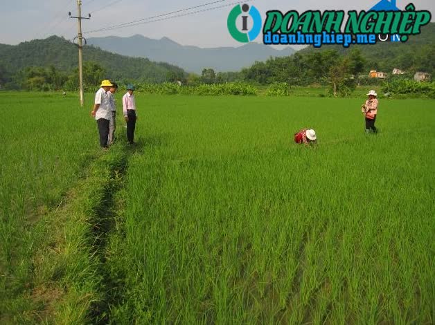 Image of List companies in Vi Huong Commune- Bach Thong District- Bac Kan