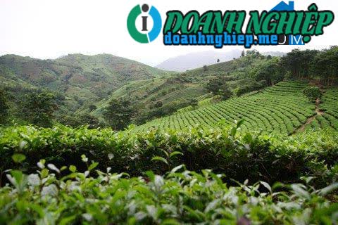Image of List companies in Bang Phuc Commune- Cho Don District- Bac Kan