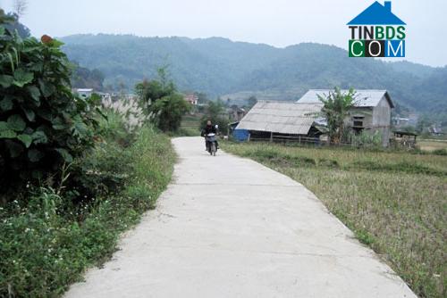 Image of List companies in Huong Ne Commune- Ngan Son District- Bac Kan