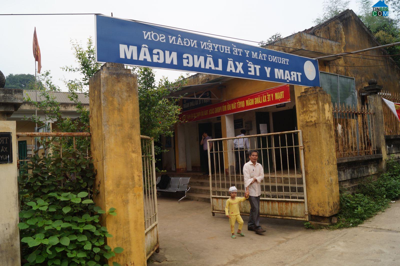 Image of List companies in Lang Ngam Commune- Ngan Son District- Bac Kan