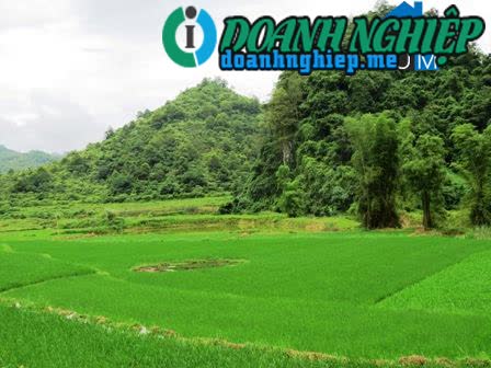 Image of List companies in Thuan Mang Commune- Ngan Son District- Bac Kan