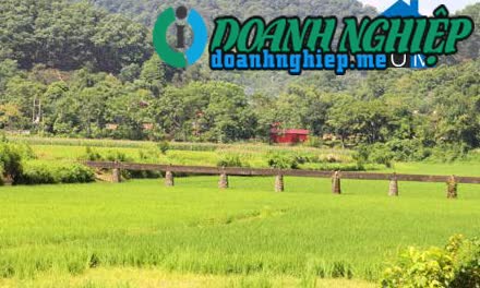 Image of List companies in Yen Dinh Commune- Cho Moi District- Bac Kan