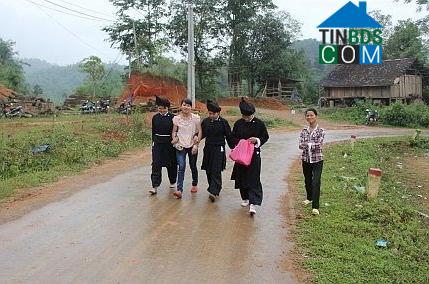 Image of List companies in Liem Thuy Commune- Na Ri District- Bac Kan