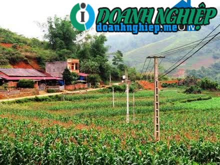Image of List companies in Thuong An Commune- Ngan Son District- Bac Kan
