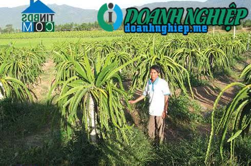 Image of List companies in Ham Cuong Commune- Ham Thuan Nam District- Binh Thuan