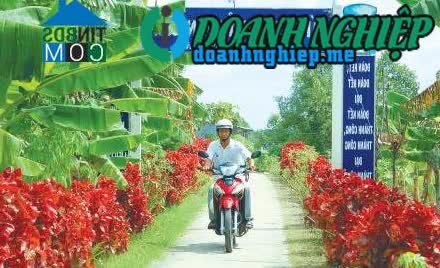 Image of List companies in Tan Dan Commune- Dam Doi District- Ca Mau